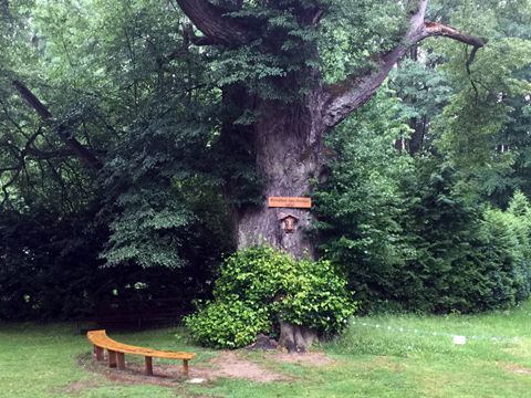 Foto 15